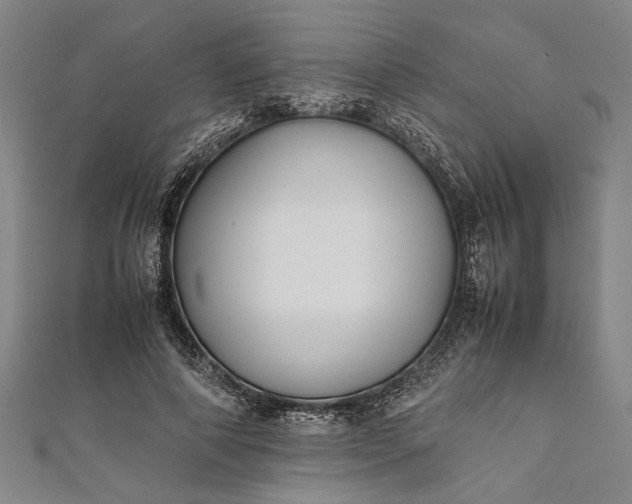 X0000112170690200908211427