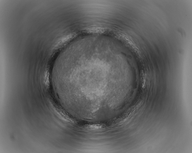 X0000112170692200908211427