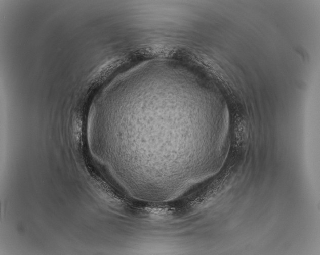 X0000112170693200908211427