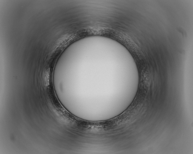 X0000112170694200908211427