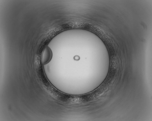 X0000112170695200908211426