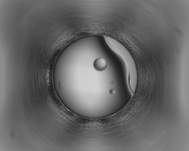 X0000112170696200908211426