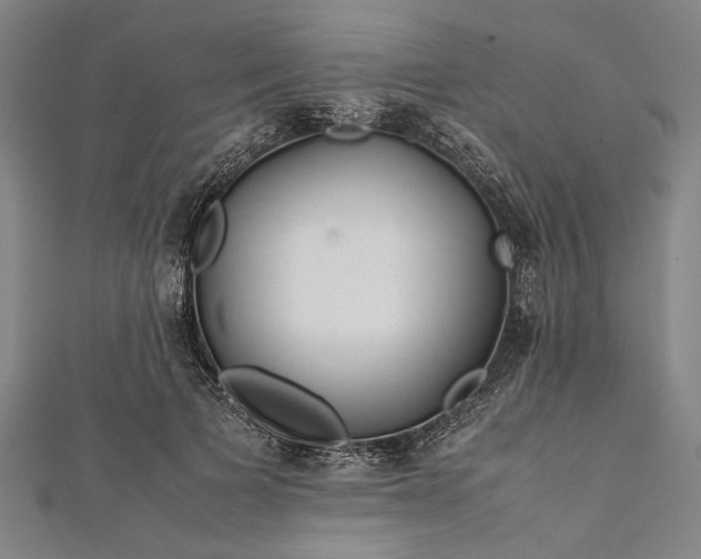 X0000112170697200908211426