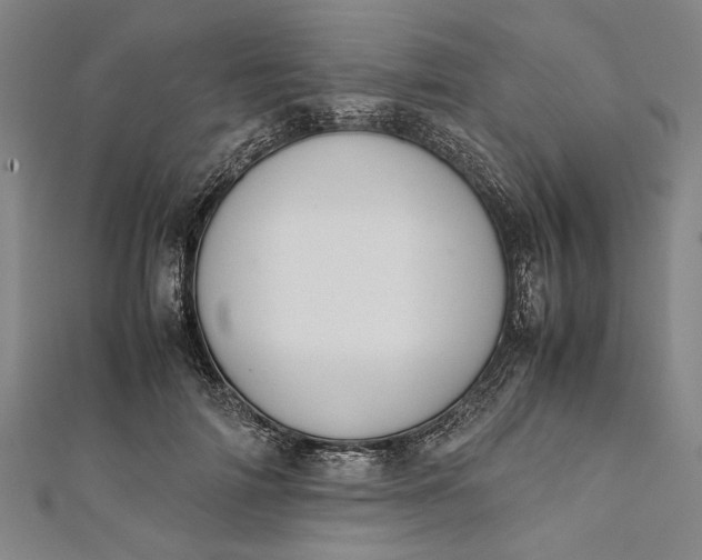 X0000112170698200908211426