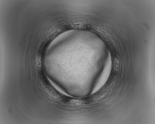 X0000112170699200908211426