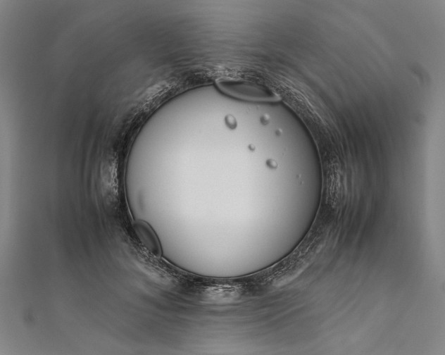 X0000112170700200908211426