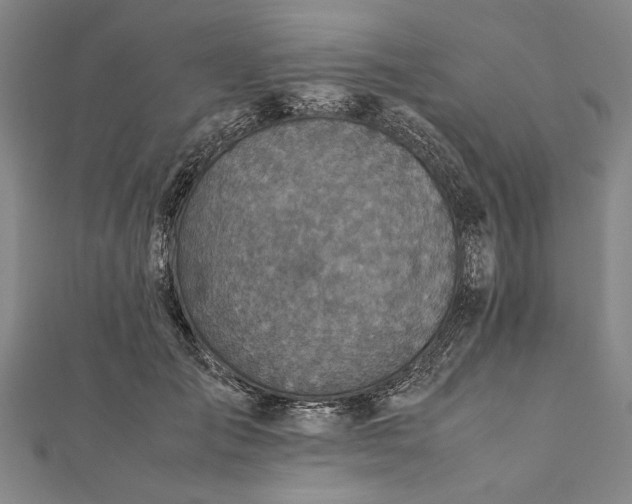 X0000112170701200908211426