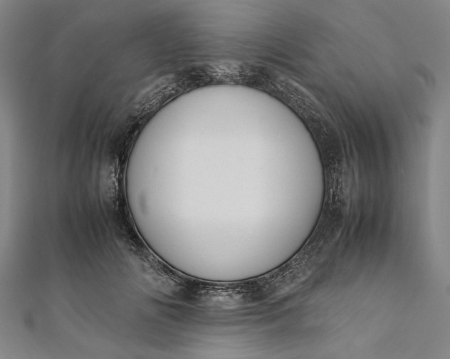 X0000112170702200908211426