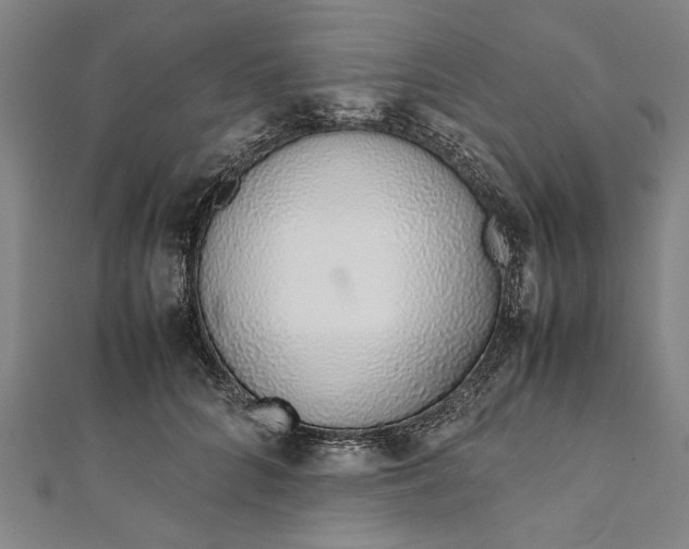 X0000112170704200908211426