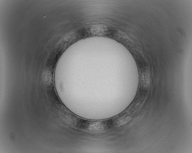 X0000112170705200908211426