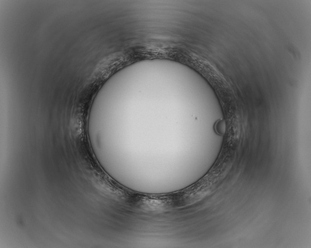 X0000112170706200908211426