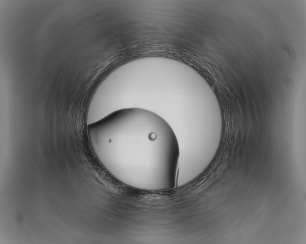 X0000112170708200908211426