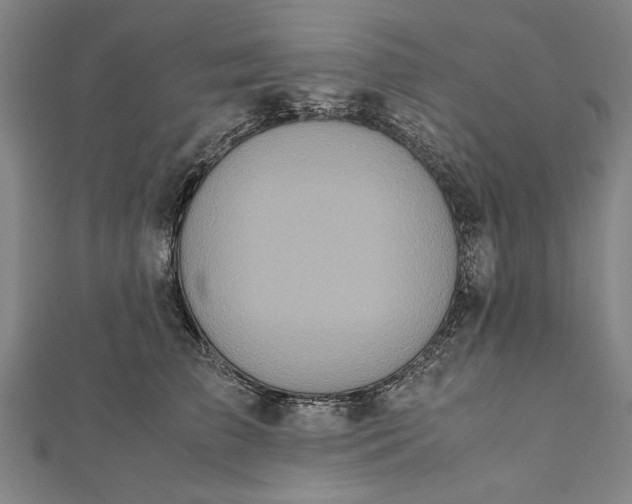 X0000112170709200908211426