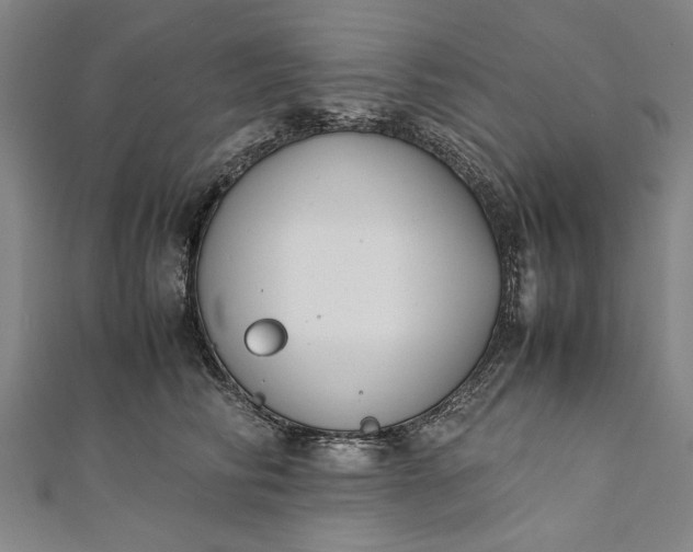 X0000112170710200908211426