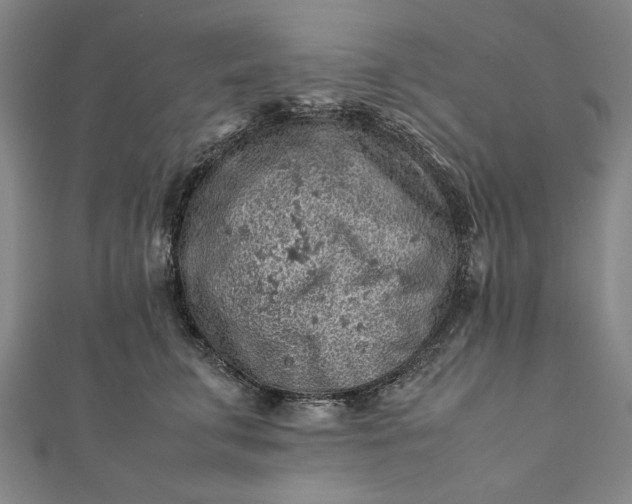 X0000112170711200908211426