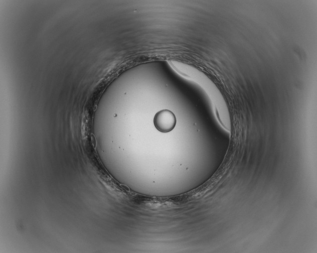 X0000112170712200908211426