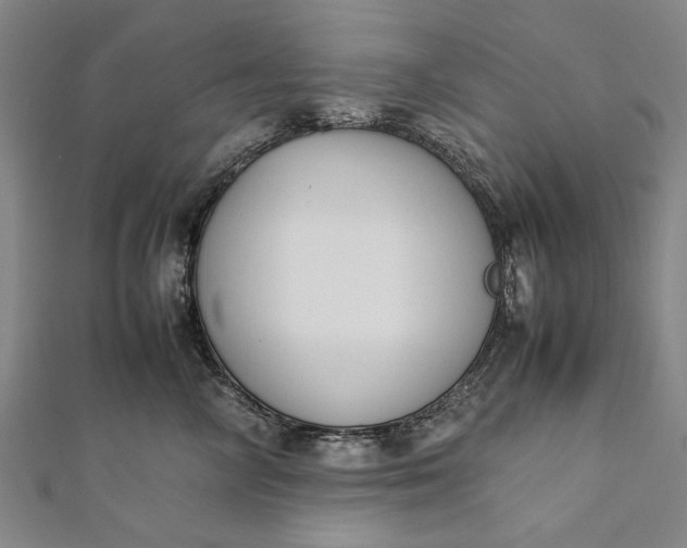 X0000112170714200908211426