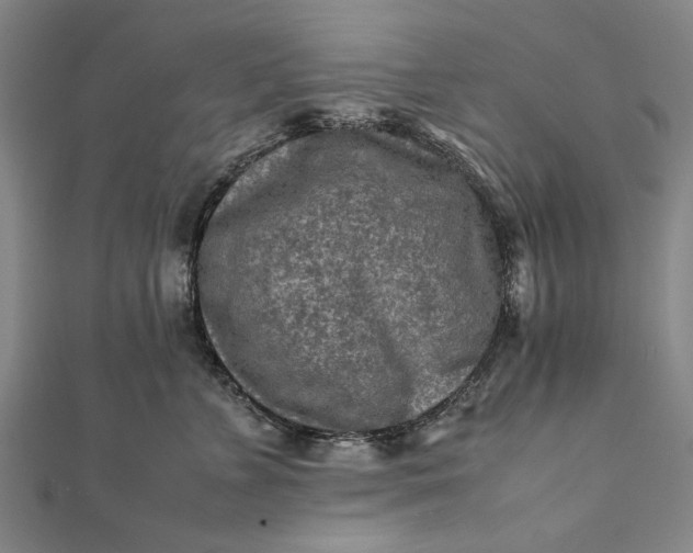 X0000112170715200908211426