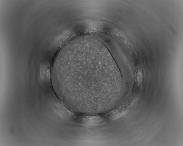 X0000112170716200908211426