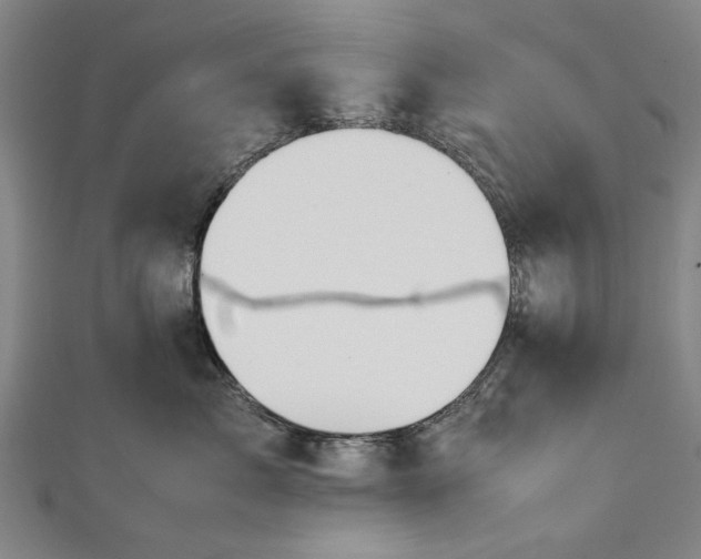 X0000112170717200908211426