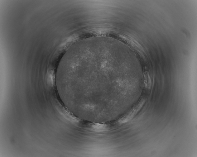 X0000112170718200908211426