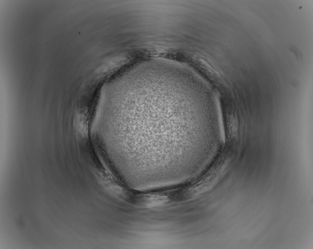 X0000112170719200908211426