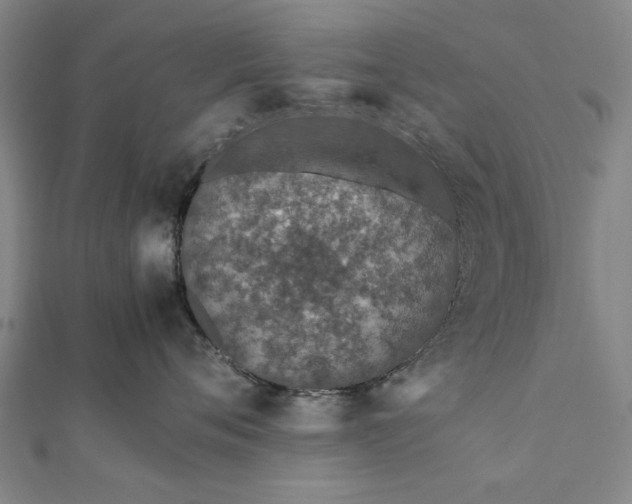 X0000112170720200908211426