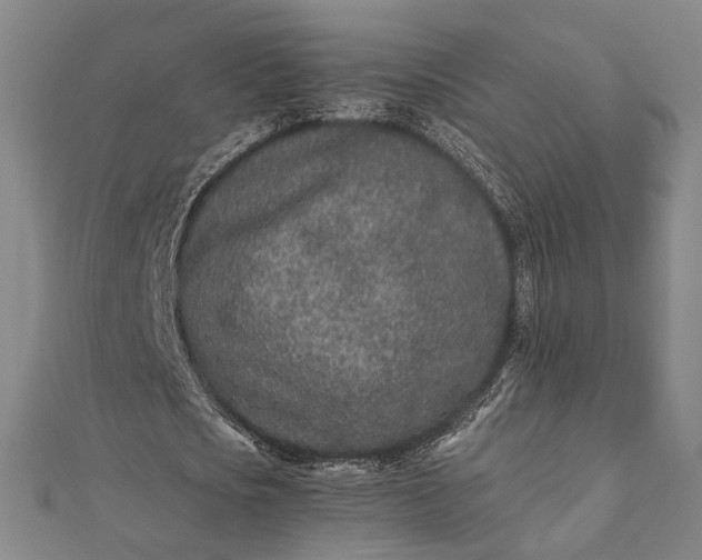 X0000112170721200908211425