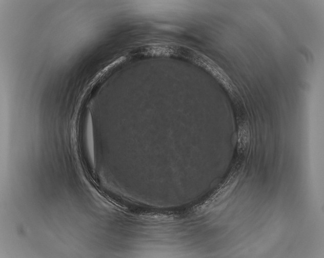 X0000112170722200908211425