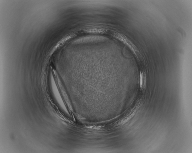 X0000112170723200908211425