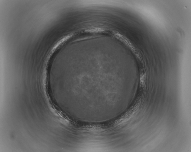 X0000112170724200908211425