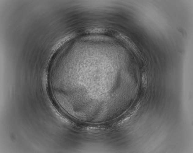 X0000112170725200908211425