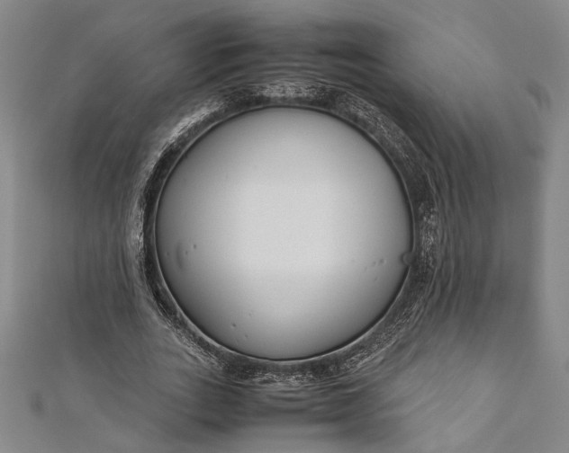 X0000112170727200908211425