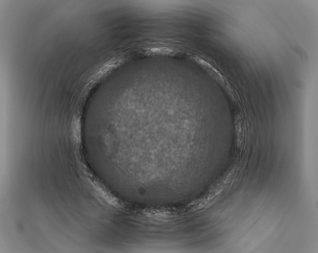 X0000112170729200908211425