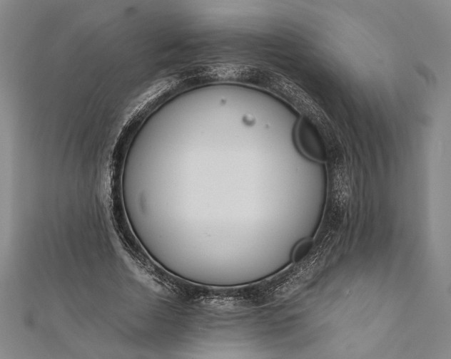 X0000112170730200908211425