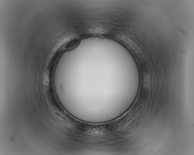 X0000112170731200908211426