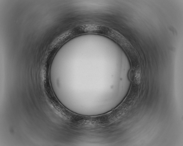 X0000112170732200908211426