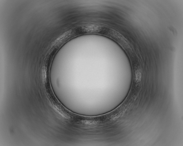 X0000112170733200908211426