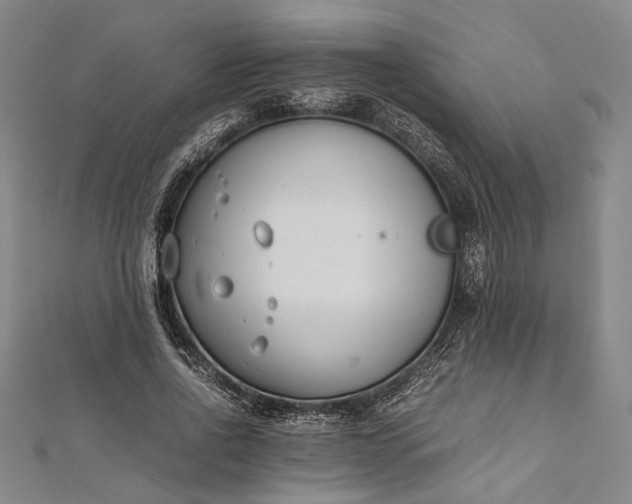 X0000112170734200908211426