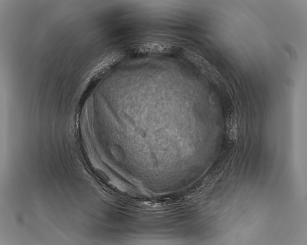 X0000112170735200908211426