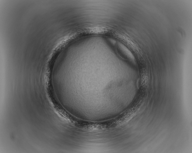 X0000112170736200908211426