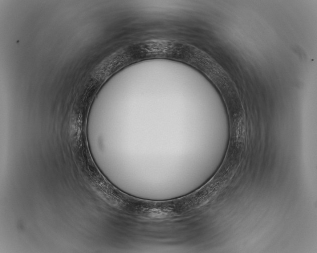 X0000112170737200908211426