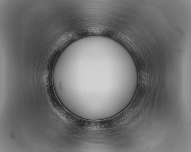 X0000112170738200908211426