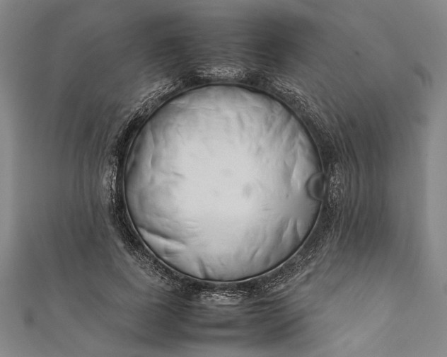 X0000112170739200908211426