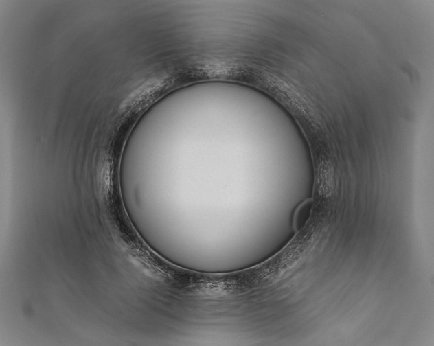 X0000112170740200908211426