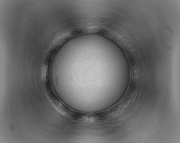 X0000112170742200908211426