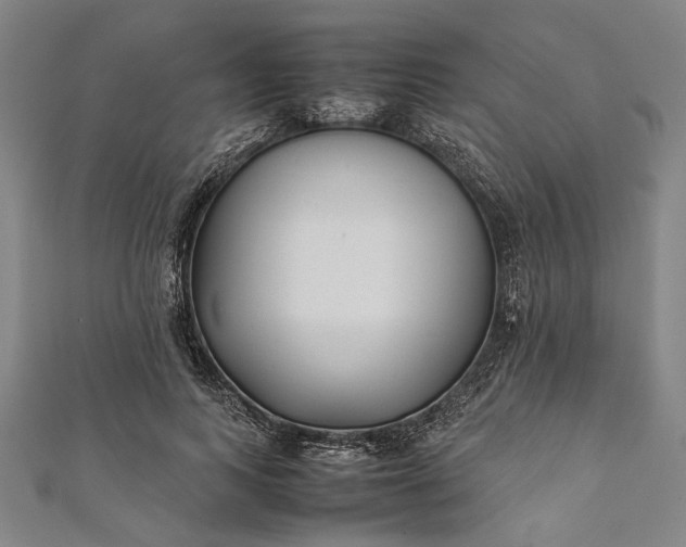 X0000112170743200908211426