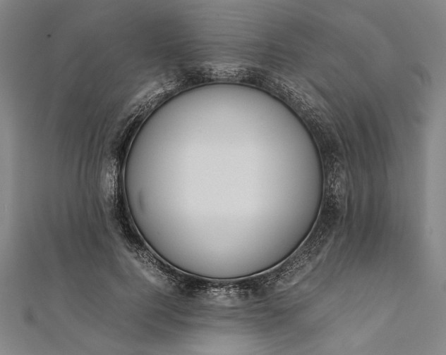 X0000112170744200908211426