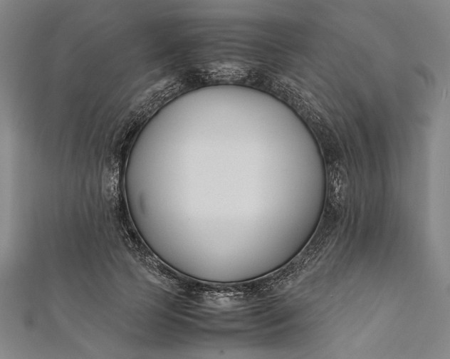 X0000112170745200908211426