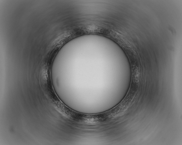 X0000112170746200908211426